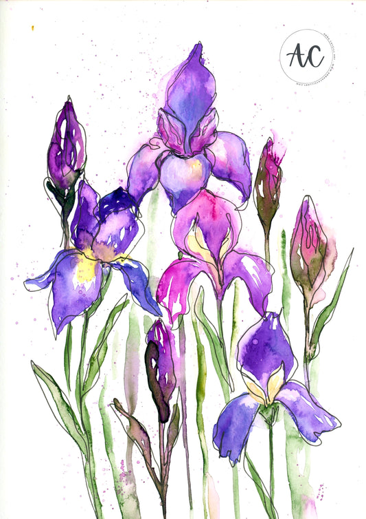 Iris watercolour print